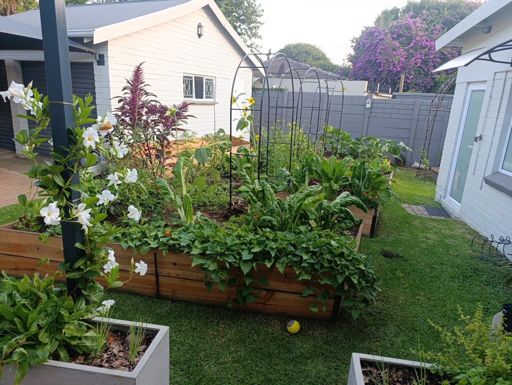Raised Beds Bac En Peigne Apres 1024x771